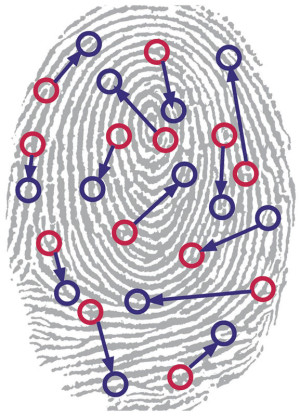 biometric1