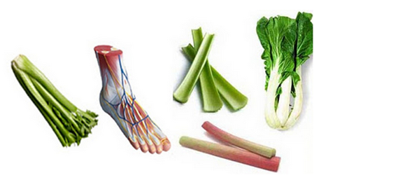 Φρούτα και λαχανικά θεραπεύουν όργανα του σώματός μας που έχουν το ίδιο σχήμα5(2)