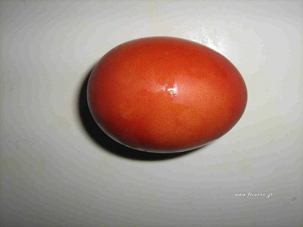 Egg-Orange
