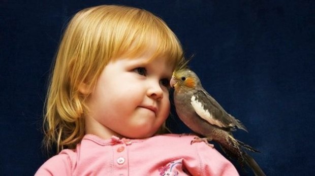 Τόσο τα μωρά όσο και τα πτηνά πασχίζουν για να μάθουν συλλαβές στην αρχή της ζωής τους, σύμφωνα με νέα μελέτη