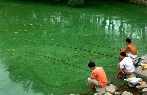 children-fish-in-a-polluted-river-covered-with-algae-in-hefei-east-chinas-anhui-province-july-18-2006