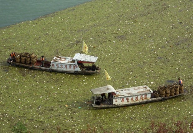 workers-clean-up-floating-garbage-on-the-yangtze-river-near-the-three-gorges-reservoir-in-november-2009