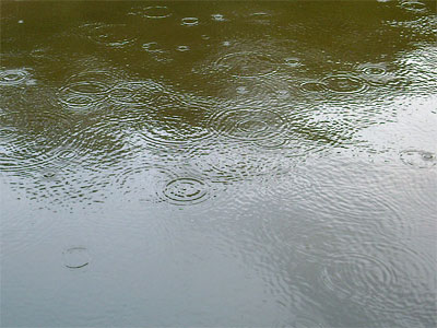 137546-rainwater
