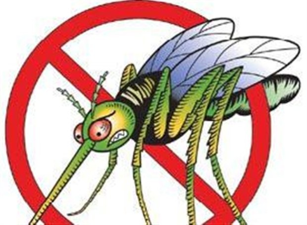 Είναι πιθανό ένα κοκτέιλ φυσικών ουσιών του ανθρώπου να καταφέρει να αποτρέψει τις επιθέσεις των κουνουπιών
