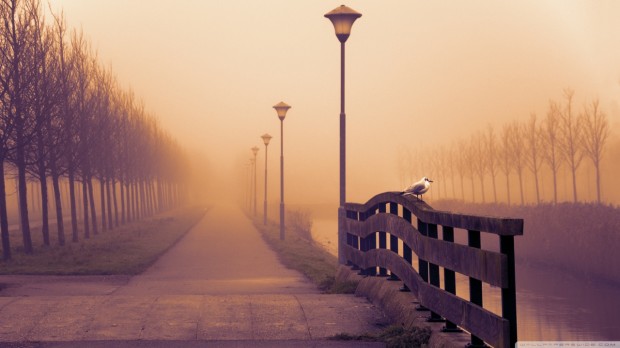foggy_fall_day-wallpaper-1280x720