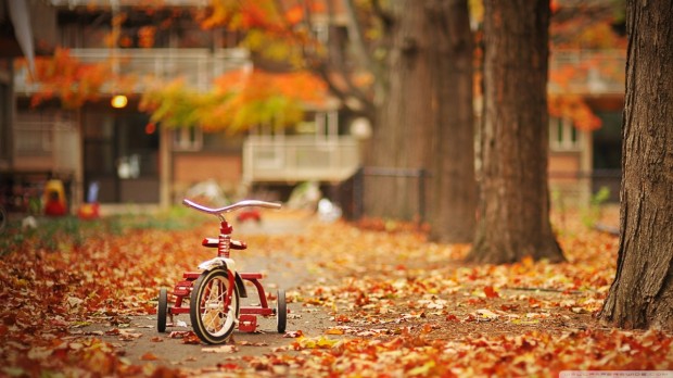 tricycle-wallpaper-1280x720