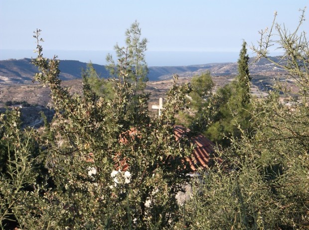 κκκκJPG