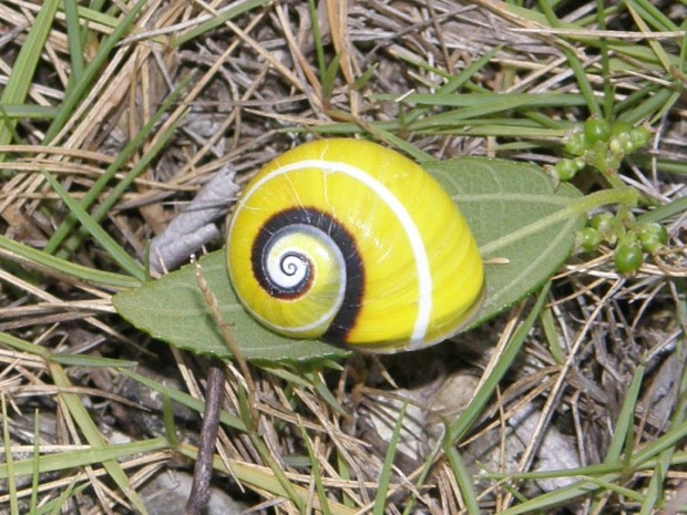 Φωτό:flickr.com/photos/