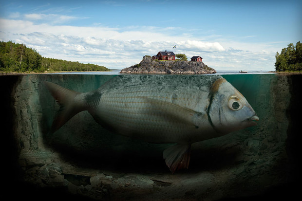 Fish Island