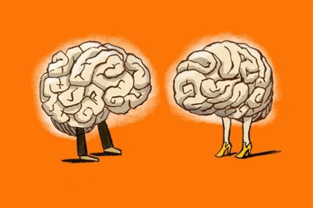 Στα πιο κοινωνικά άτομα τα επικοινωνιακά "μονοπάτια" του εγκεφάλου θυμίζουν λεωφόρους ταχείας κυκλοφορίας, επισημαίνουν οι επιστήμονες