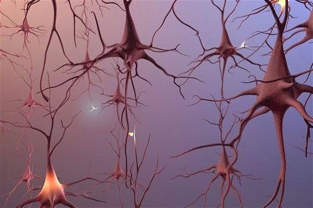 Η αποκάλυψη ότι κάθε νευρώνας του εγκεφάλου έχει ελαφρώς διαφορετικό γονιδίωμα εξέπληξε τους ερευνητές
