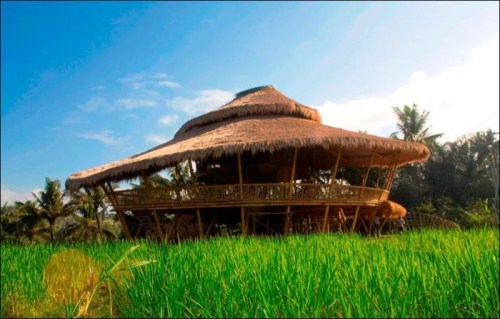 School_Bali_7