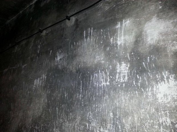 Μέσα σε ένα θάλαμο αερίων του Άουσβιτς