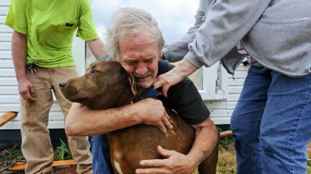 Ο Greg Cook βρίσκει την σκυλίτσα του Coco του μέσα στα ερείπια του σπιτιού του στην Αλαμπάμα και την πνίγει στις αγκαλιές. Το σπίτι του καταστράφηκε από ανεμοστρόβιλο το Μάρτιο του 2012