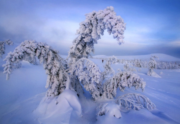 Συνήθως οι άνθρωποι φοβούνται το ρωσικό χειμώνα. Οι θερμοκρασίες είναι τόσο χαμηλές που πιστεύεται ότι θα πρέπει να ζεσταθεί κανείς με βότκα και ζεστά δέρματα.-Φωτο:Σεργκέι Μακούριν