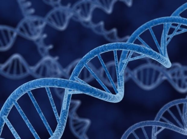 Η νέα τεχνική ακριβούς τροποποίησης του DNA ελπίζεται ότι θα προσφέρει θεραπεία νευροεκφυλιστικών νόσων