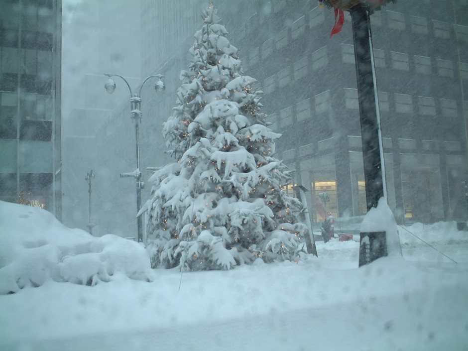 Nyc_snow_3