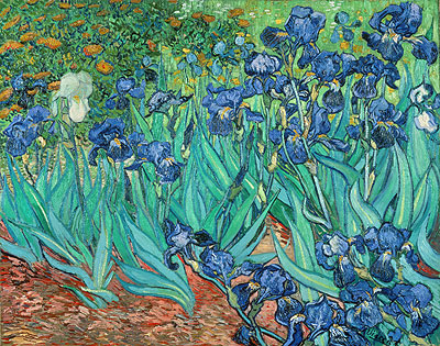  Ίριδες , 1889 - Vincent van Gogh (1853-1890)-Φωτο:topofart.com