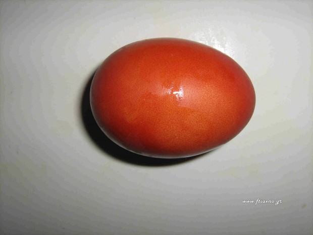 Egg-Orange