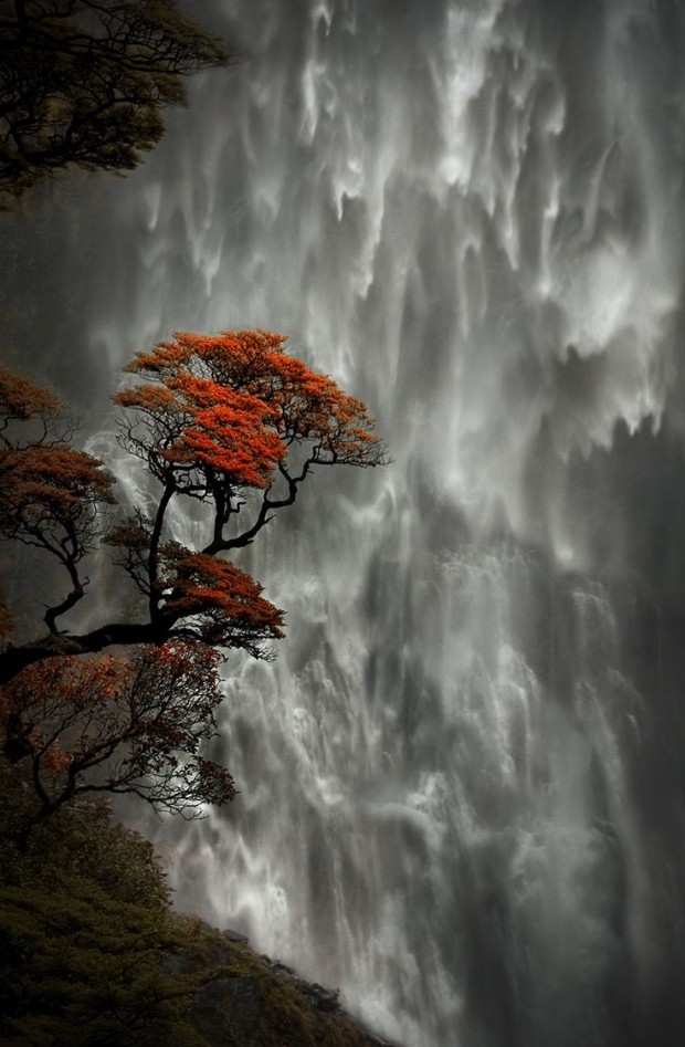 Jonathan Sigaran • Devil’s Punchbowl Falls, New Zealand