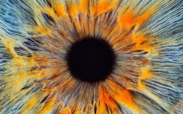Τα βλαστοκύτταρα που εντόπισαν εντός των ματιών οι ειδικοί από το Πανεπιστήμιο του Σαουθάμπτον ελπίζεται ότι θα οδηγήσουν σε θεραπείες ενάντια στην τύφλωση