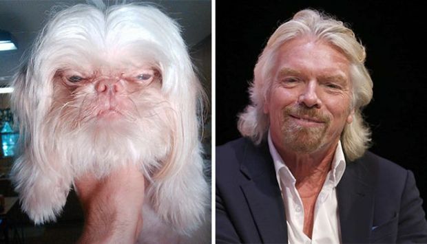 12. Ο Richard Branson και ένας σκύλος 