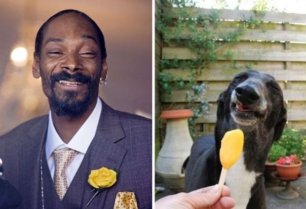  Ο Snoop Dog και ένας σκύλος