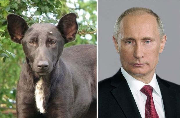 Ο Πούτιν και αυτός ο σκύλος