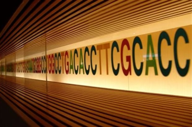 Η γενετική αλληλουχία σχεδόν όλων των ανθρώπων περιέχει δυνητικά παθογόνε μεταλλάξεις (Πηγή: MIKI Yoshihito CC BY 2.0)