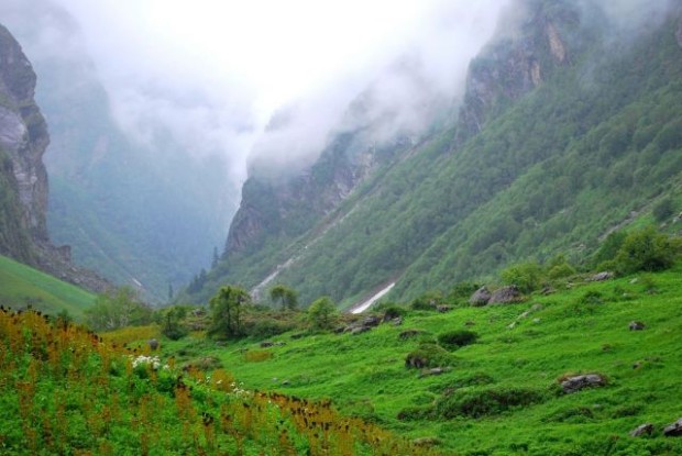 Valley of Flowers in the Himalayas, India tourism destinations