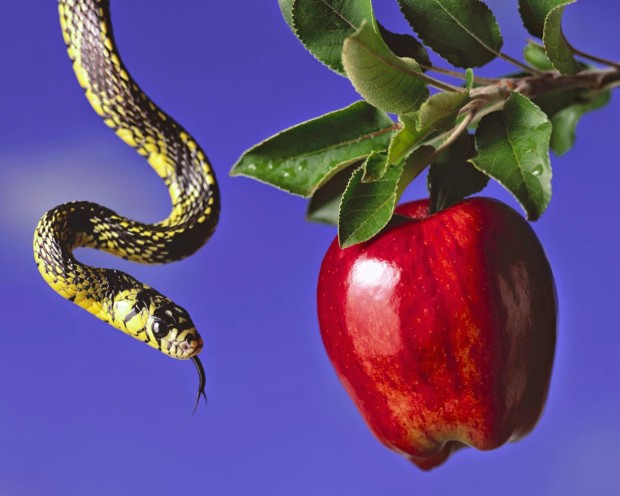 snake n apple