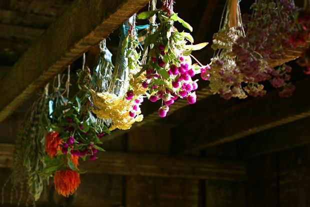 Photo: meepfriends@Flickr