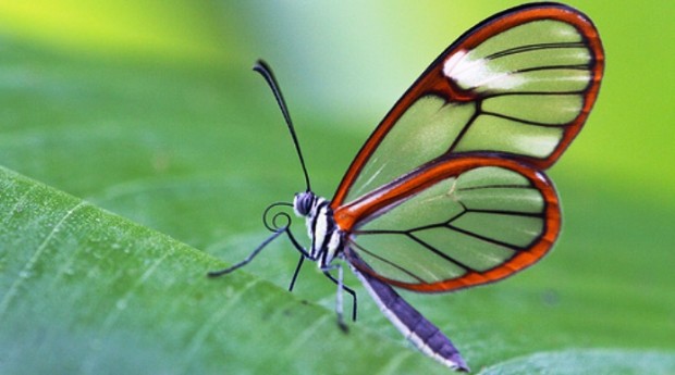 fotovoltaika-ftera-petalouda-125581