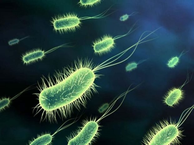Τα μικρόβια γίνονται ολοένα και πιο ανθεκτικά με αποτέλεσμα να καθιστώνται άχρηστα τα αντιβιοτικά δημιουργώντας έτσι εύλογες ανησυχίες στην επιστημονική κοινότητα