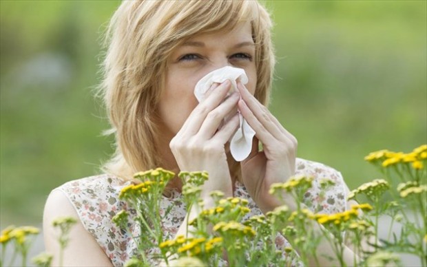 allergies
