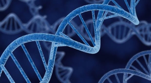 H ανακάλυψη του γονιδίου μπορεί να βοηθήσει στην ανάπτυξη νέων τρόπων αντιμετώπισης της νόσου