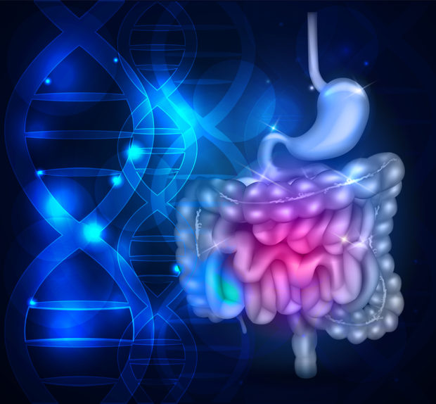 Bowels and stomach abstract scientific background with DNA chain
