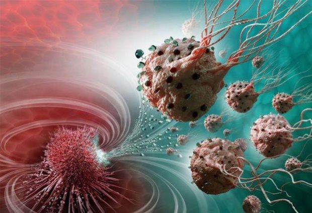 Καλλιτεχνική απεικόνιση των μαγνητικών βακτηρίων ενόσω μεταφέρουν φάρμακα σε έναν όγκο (Credit: NanoRobotics Laboratory, Polytechnique Montreal) 