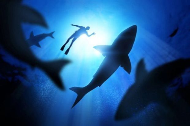 Στην μάχη κατά της νόσου του Πάρκινσον επιστρατεύονται και οι καρχαρίες 