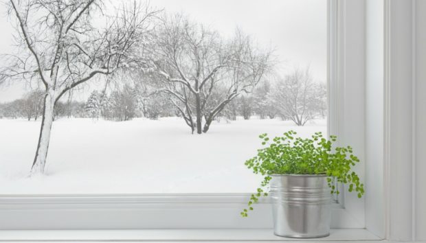 thehomeissue_winter-620x354