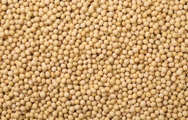 ironfoods-soybeans-1000