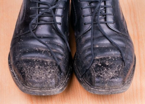 Τα παπούτσια μπορούν να μεταφέρουν σκόνες και χώματα στο σπίτι.